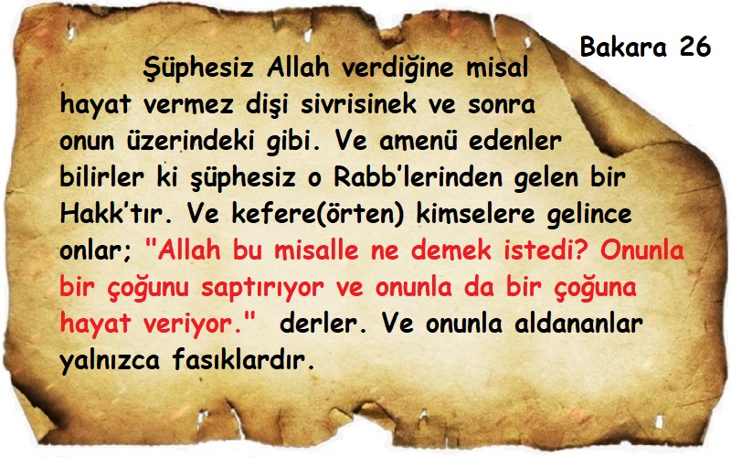 Bakara 26. ayet. Kuranda Reenkarnasyon ile ilgil ayetler