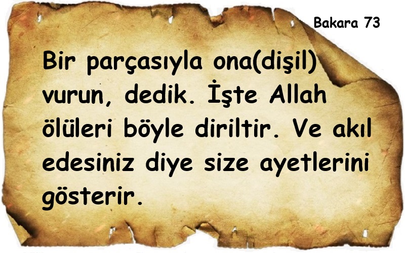 Bakara suresi 73. ayet. Ona kurbanın bir parçası ile vurun ayeti. Katilin bulunması, ölünün dirilmesi
